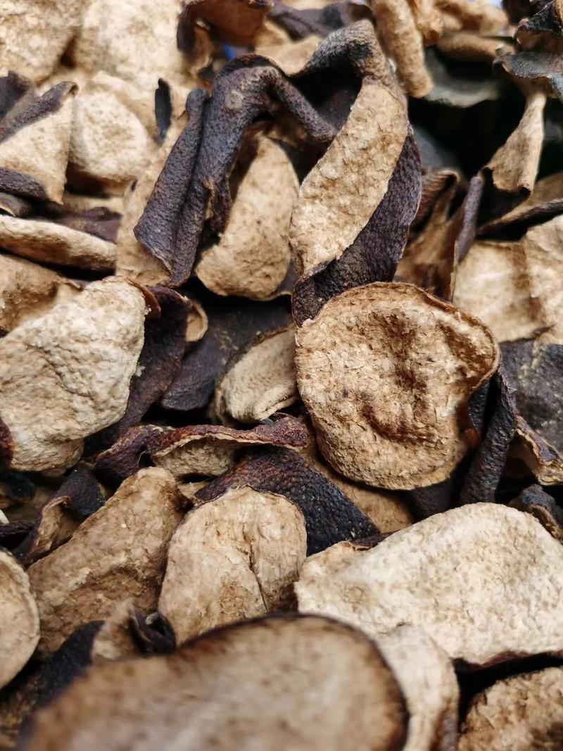 Đấu Trường Bắn Cá